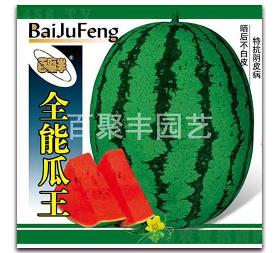 ȫ�ܹ���-���ϷN��-�پ��S