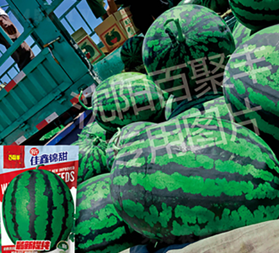 �����\��-���ϷN��-�پ��S