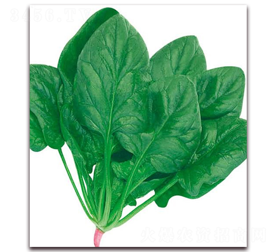 ���m�ö�����-���˷N��-�A�r�N�I(y��)