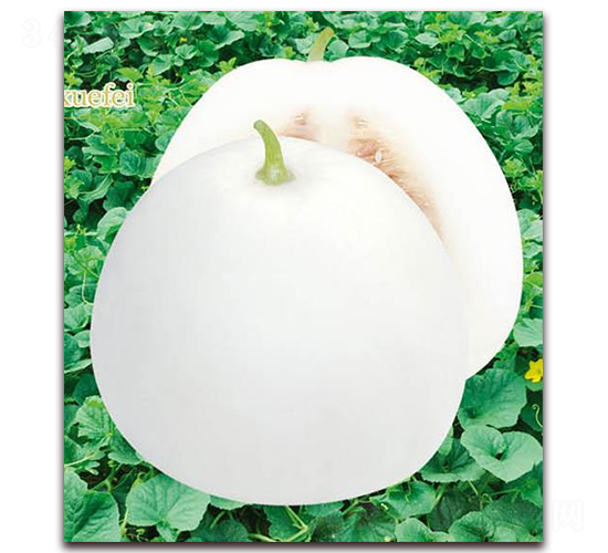 ��ѩ����F1-��ϷN��-�A�r(n��ng)�N�I(y��)