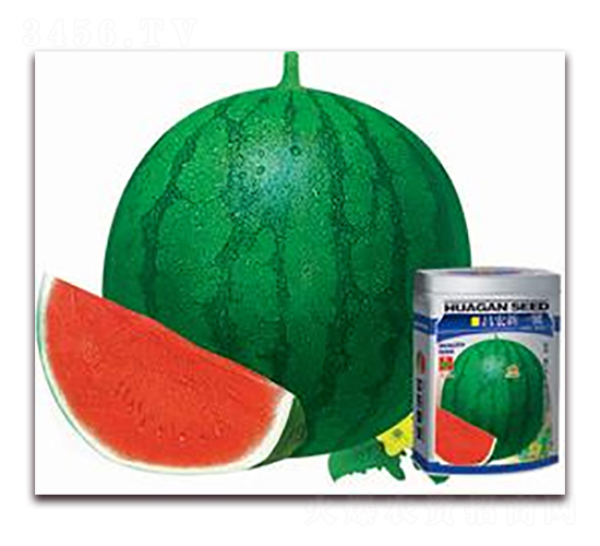 ������һ̖(h��o)-���ϷN��-�A�r(n��ng)�N�I(y��)