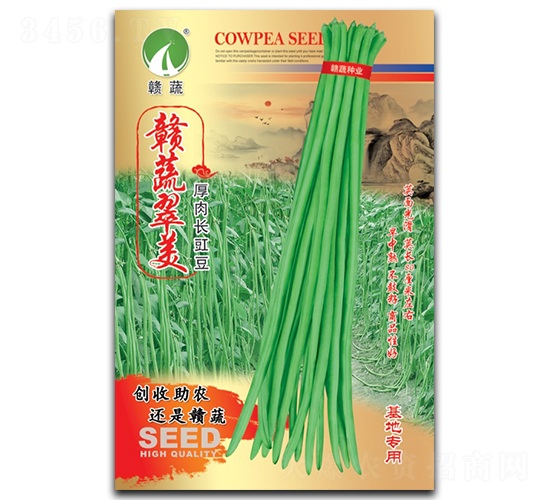 �M�ߴ���-�����N��-�M�߷N�I(y��)