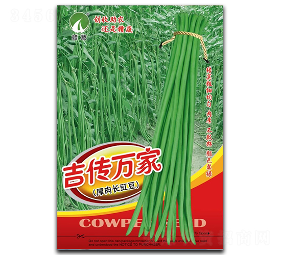 �����f��-�����N��-�M�߷N�I(y��)