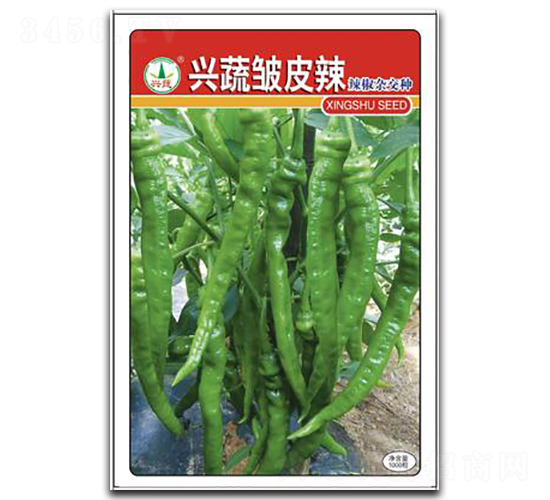 �d�߰�Ƥ��-�����N��-�d�߷N�I(y��)