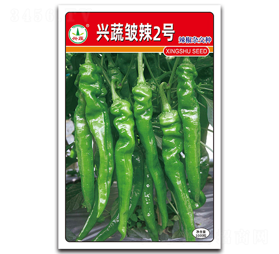 �d�߰���2̖-�����N��-�d�߷N�I(y��)