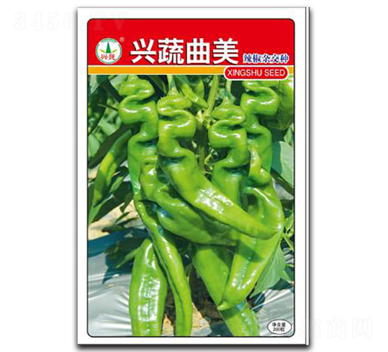 �d������-�����N��-�d�߷N�I(y��)