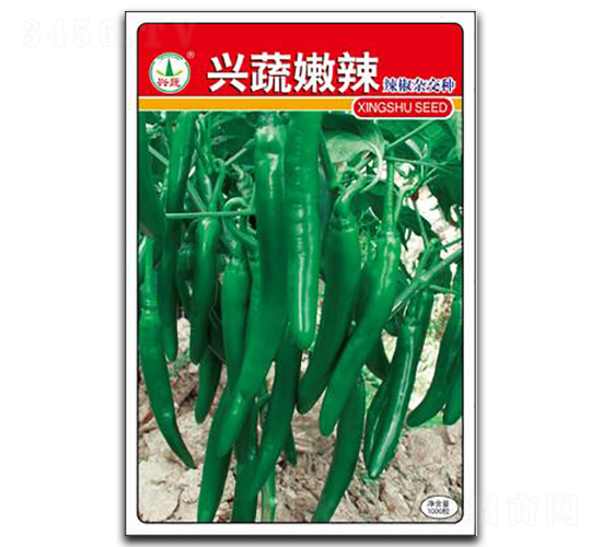 �d������-�����N��-�d�߷N�I(y��)