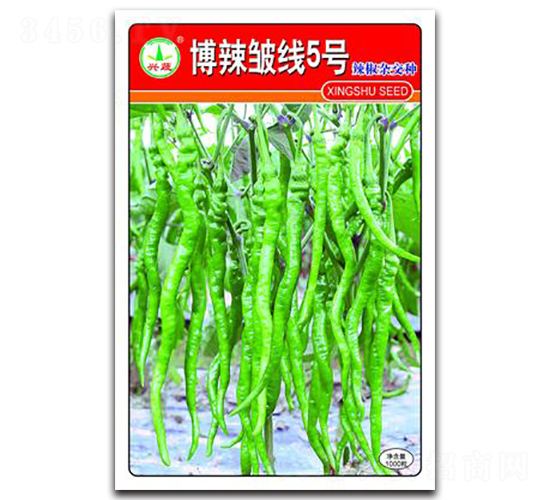 ��������5̖-�����N��-�d�߷N�I(y��)