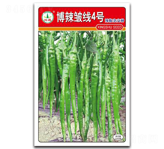 ��������4̖-�����N��-�d�߷N�I(y��)