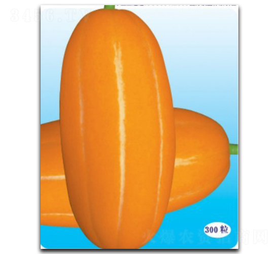 ������-��ϷN��-�մ��r(n��ng)�I(y��)