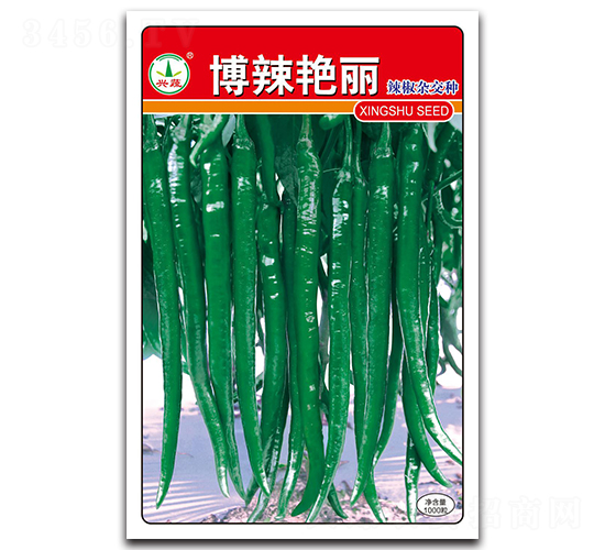 �����G��-�����N��-�d�߷N�I(y��)