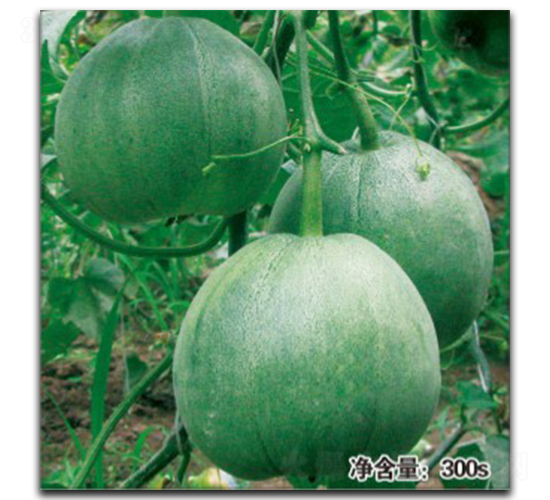 �G���-��ϷN��-�մ��r(n��ng)�I(y��)