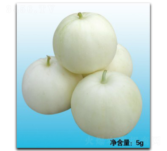 ������-��ϷN��-�մ��r(n��ng)�I(y��)