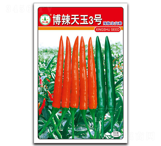 ��������3̖-�����N��-�d�߷N�I(y��)