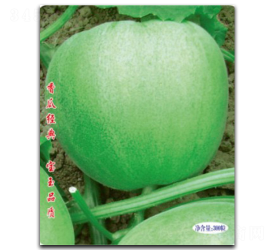 ِ����-��ϷN��-�մ��r(n��ng)�I(y��)