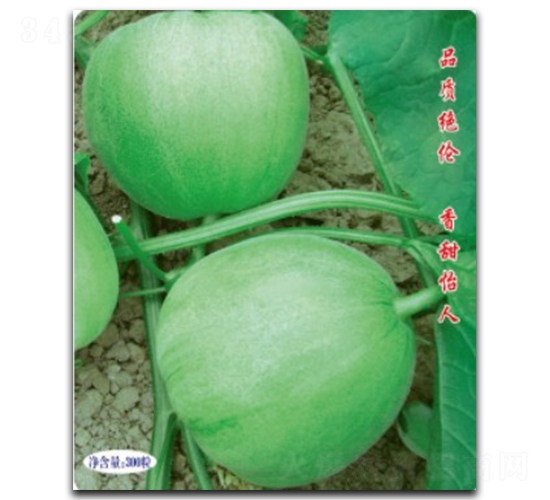 �G��ʯ-��ϷN��-�մ��r(n��ng)�I(y��)