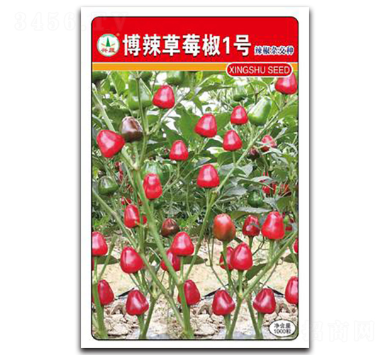 ������ݮ��1̖-�����N��-�d�߷N�I(y��)