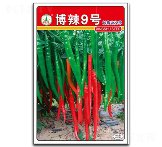 ����9̖-�����N��-�d�߷N�I(y��)