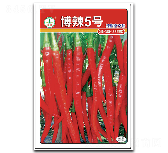 ����5̖-�����N��-�d�߷N�I(y��)