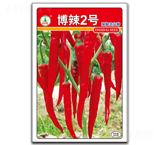 ����2̖-�����N��-�d�߷N�I(y��)