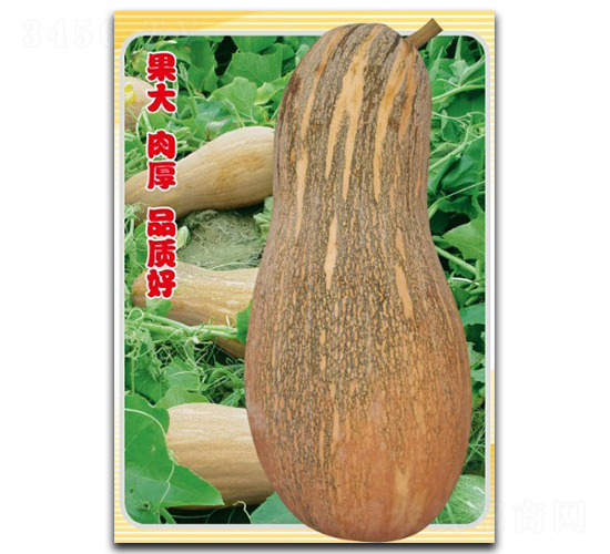 ���S�ܱ�-�ϹϷN��-�մ��r�I(y��)