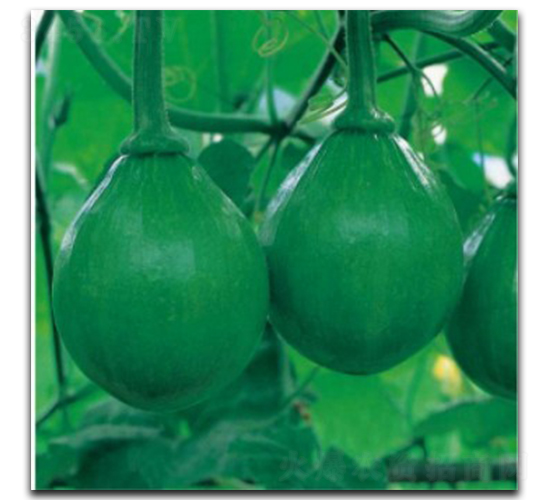 ����-�ϹϷN��-�մ��r(n��ng)�I(y��)