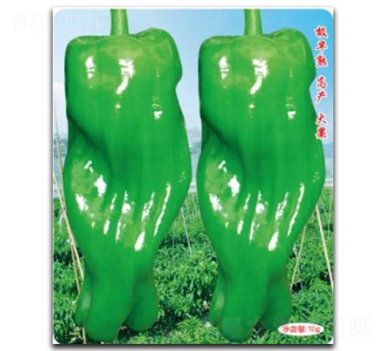 ������-�����N��-�մ��r(n��ng)�I(y��)