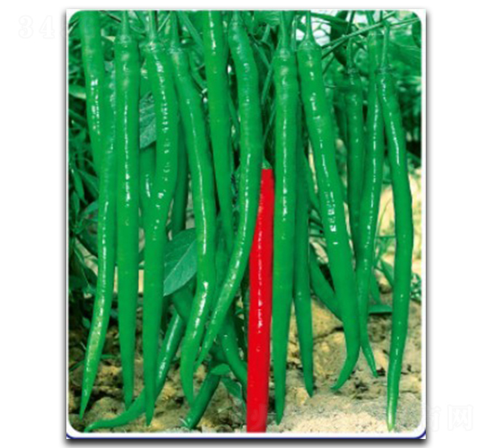 ����(y��u)11̖-�����N��-�մ��r(n��ng)�I(y��)