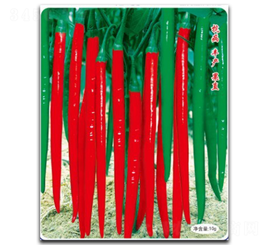 ���S��̖(h��o)-�����N��-�մ��r(n��ng)�I(y��)