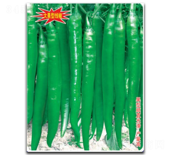 ���SA8-�����N��-�մ��r(n��ng)�I(y��)