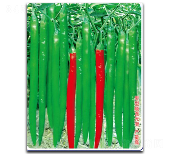 ���S��̖-�����N��-�մ��r(n��ng)�I(y��)