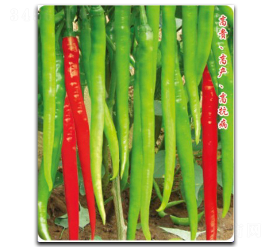 �S����(y��u)��̖(h��o)-�����N��-�մ��r(n��ng)�I(y��)