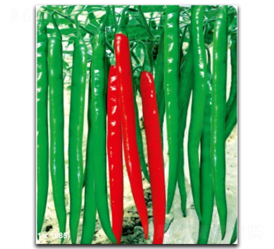 ����(y��u)��̖-�����N��-�մ��r�I(y��)