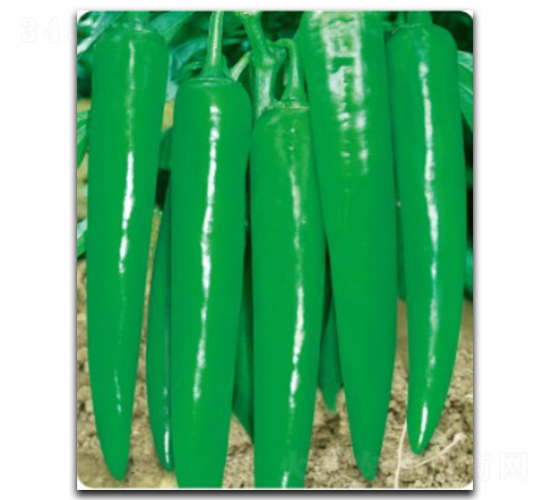 ���S����-�����N��-�մ��r(n��ng)�I(y��)