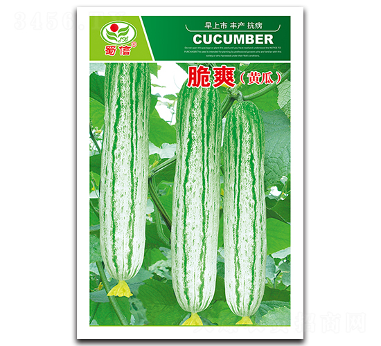 ��ˬ-�S�ϷN��-���ŷN�I(y��)