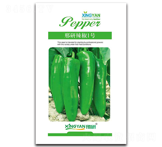 ��������1̖-�����N��-���зN�I(y��)