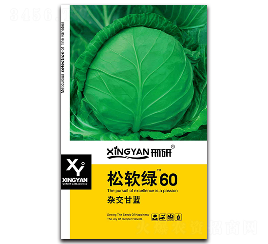 ��ܛ�G60-���{�N��-���зN�I(y��)