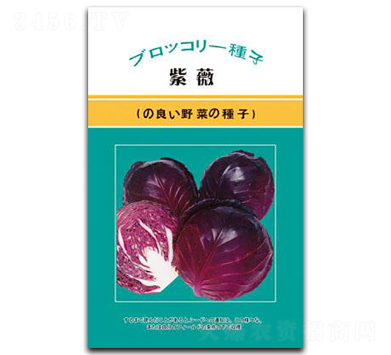 ��ޱ-���{(l��n)�N��-���зN�I(y��)