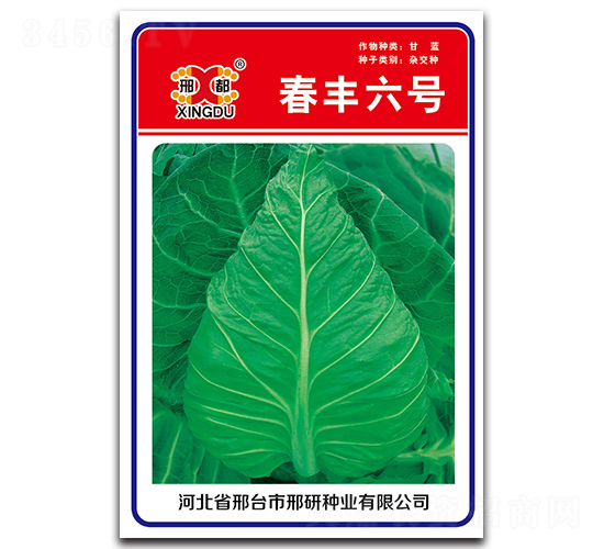 ���S��̖(h��o)-���{(l��n)�N��-���зN�I(y��)