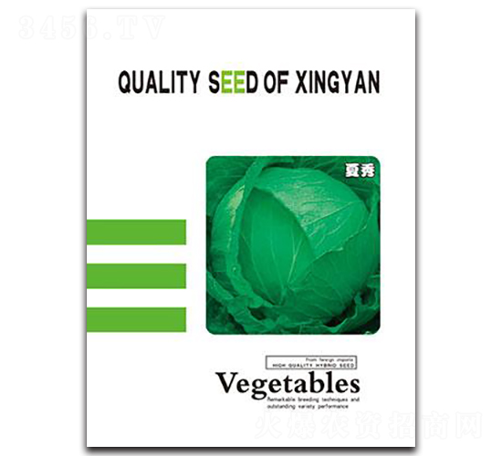 ������{(l��n)-���{(l��n)�N��-���зN�I(y��)