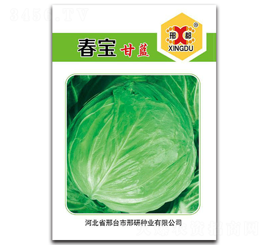 ����-���{�N��-���зN�I(y��)