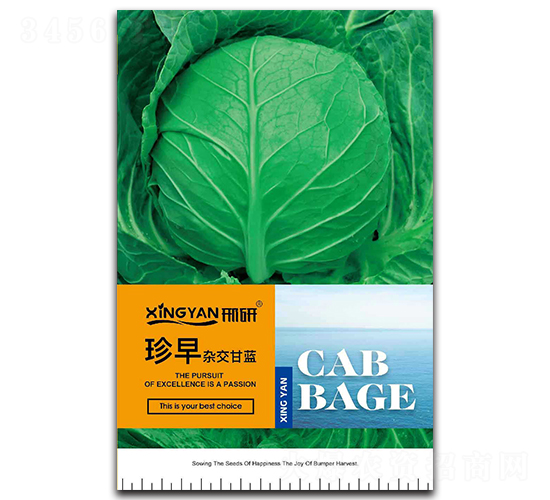 ����-���{(l��n)�N��-���зN�I(y��)