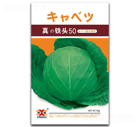 ���F�^50-���{(l��n)�N��-���зN�I(y��)