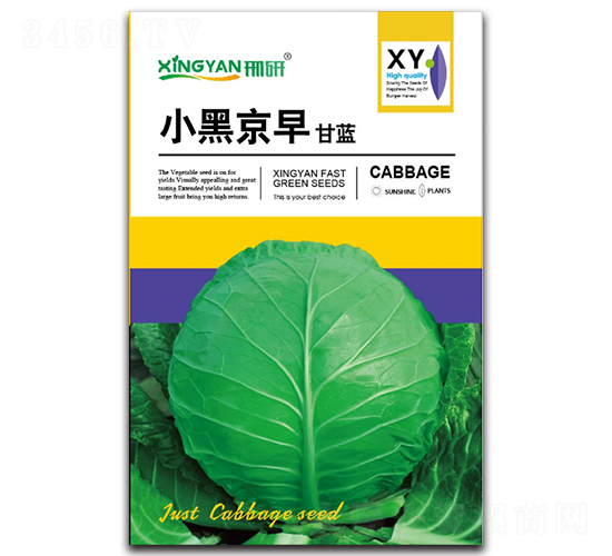 С�ھ���-���{(l��n)�N��-���зN�I(y��)