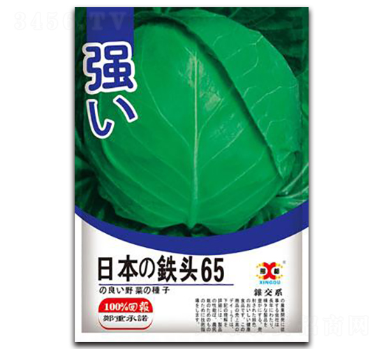 �ձ��F�^65-���{(l��n)�N��-���зN�I(y��)