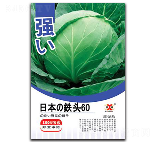 �ձ��F�^60-���{(l��n)�N��-���зN�I(y��)