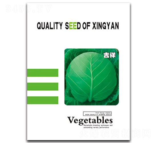 ����-���{(l��n)�N��-���зN�I(y��)