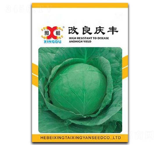 �����c�S-���{(l��n)�N��-���зN�I(y��)