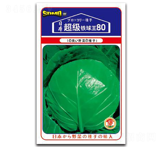 �����F����80-���{�N��-���зN�I(y��)