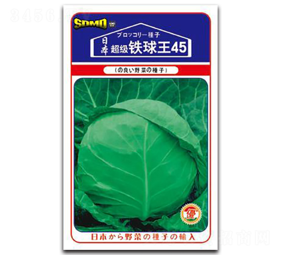 �����F����45-���{�N��-���зN�I(y��)